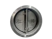 Dual Plate Check Valve